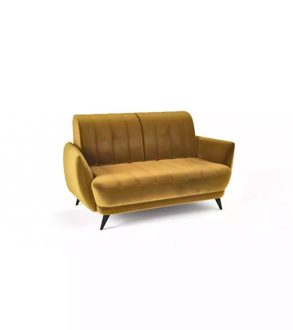 Wygodna sofa dwuosobowa do salonu Roy canv