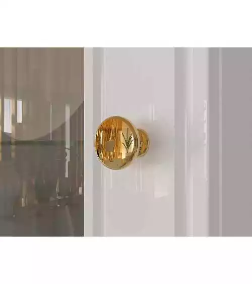 Alpejsko biała witryna GOLDIN 02